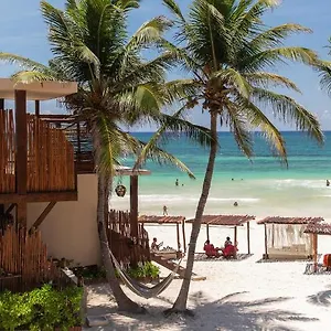 Hotel La Zebra A Colibri Boutique, Tulum